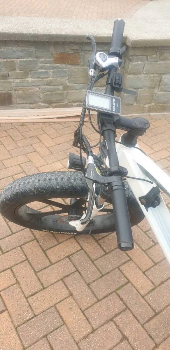 Electric E Wilde mountain bike - Image 1
