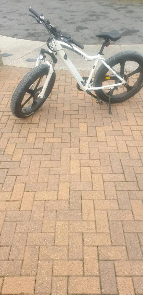 Electric E Wilde mountain bike - Image 2