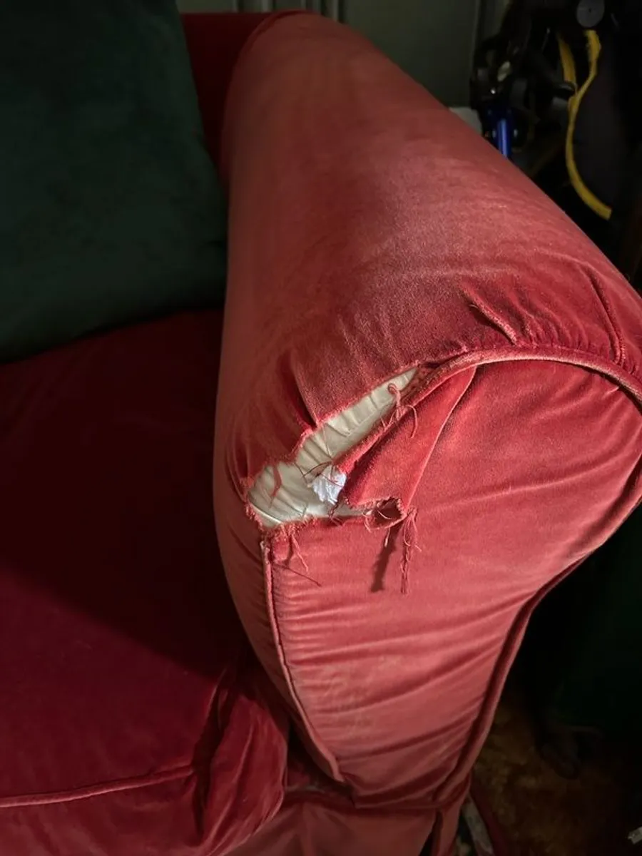 TETRAD feather filled velvet couch - Image 4