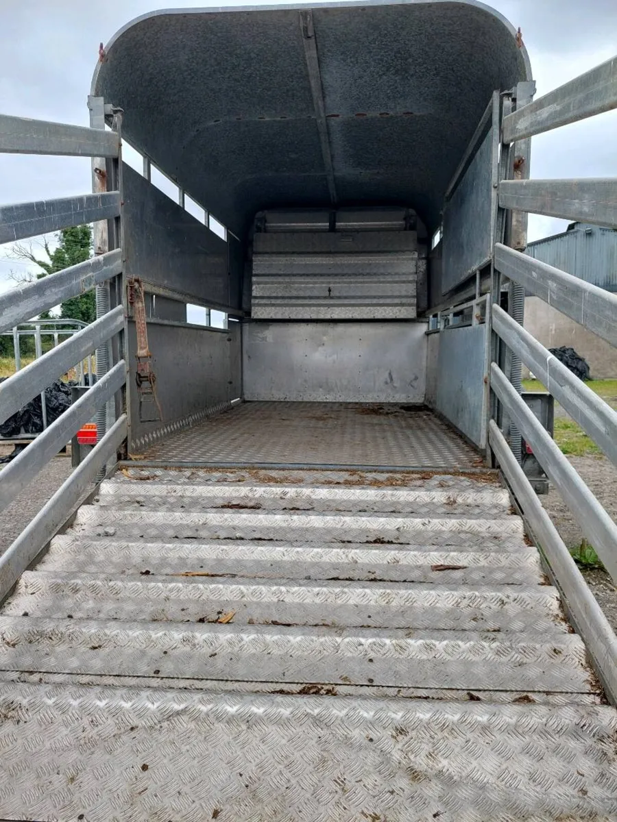 10x6 - Image 1