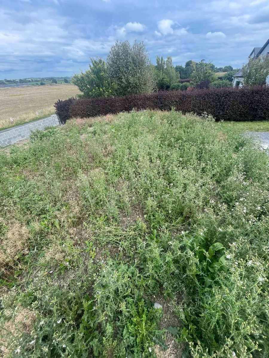 Top Soil- Unscreend, self load and transport, bulk - Image 3