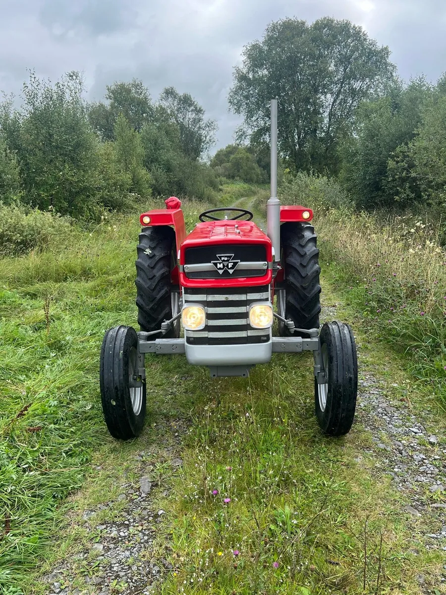 Massey Ferguson 135 - Image 2