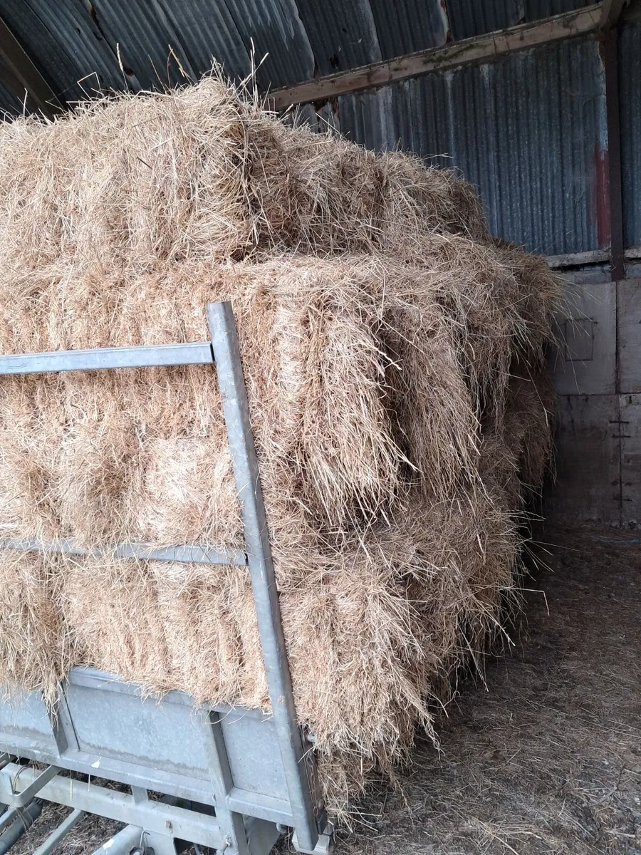 Hay and square - Image 1