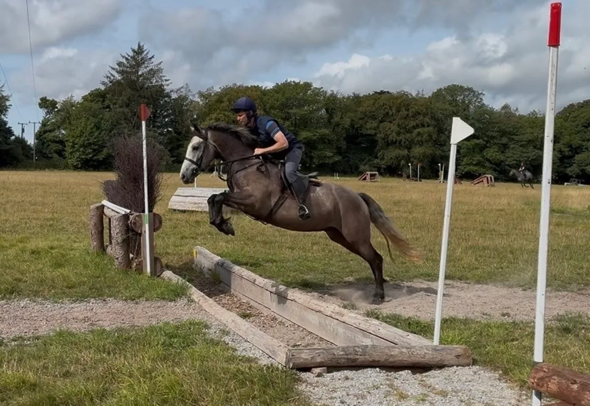 Heading to clifden sale Saturday 22nd - Image 1