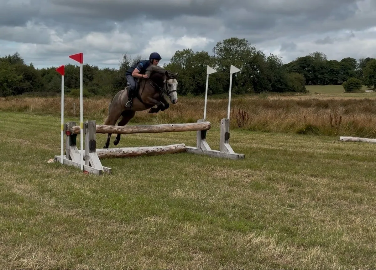 Heading to clifden sale Saturday 22nd - Image 2