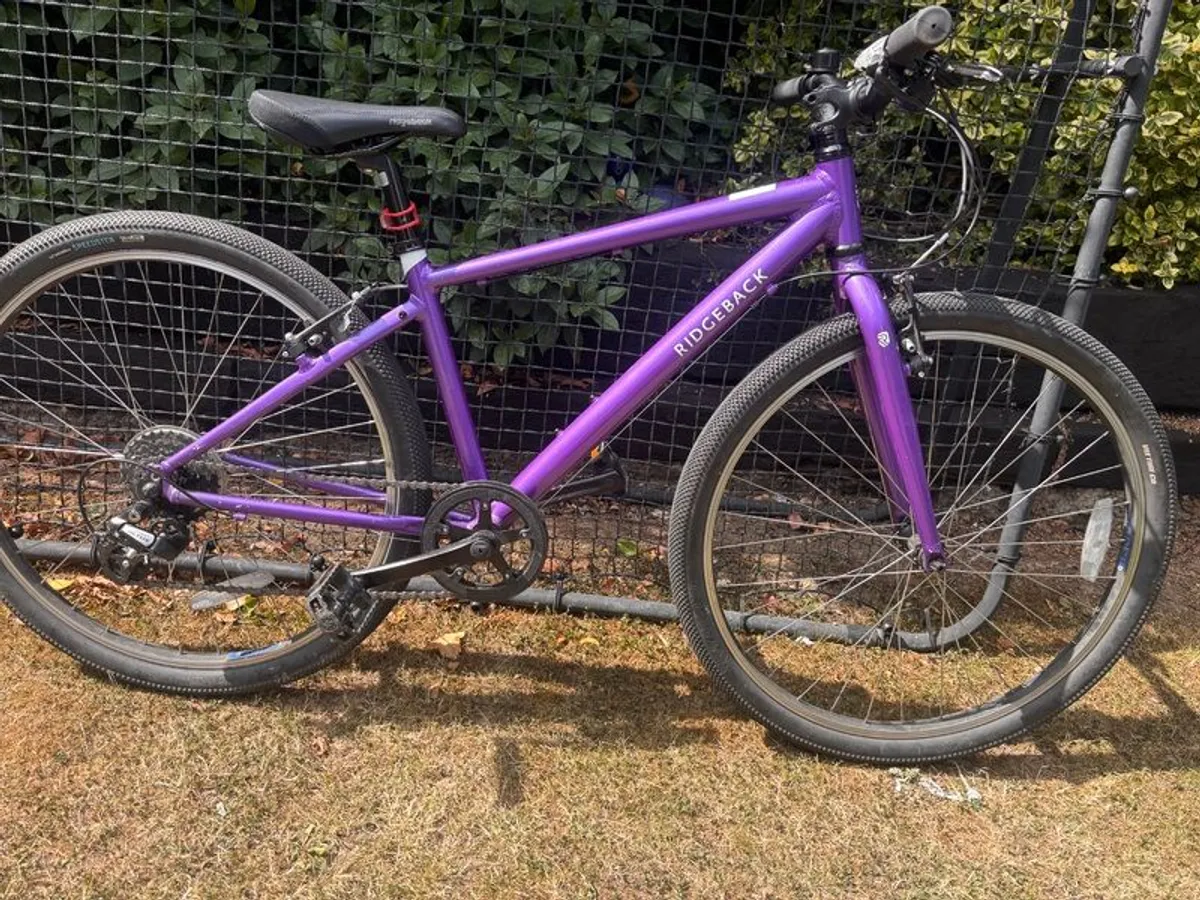 Ridgeback Dimension 26 Girls Bike - Image 2