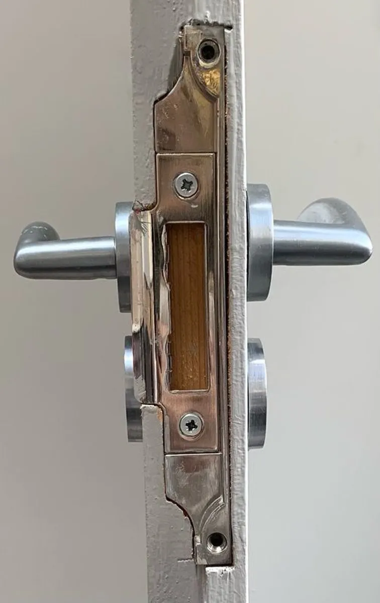 Internal Double Doors - Image 4