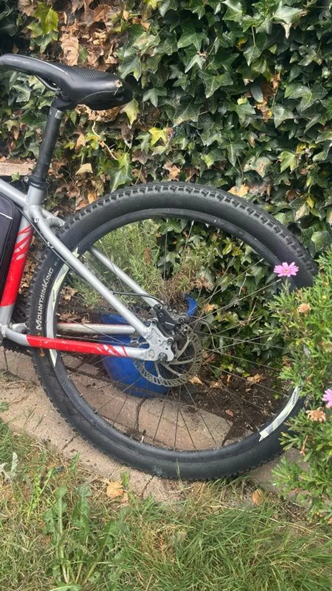 ebike - Image 3