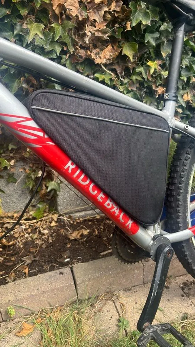 ebike - Image 4