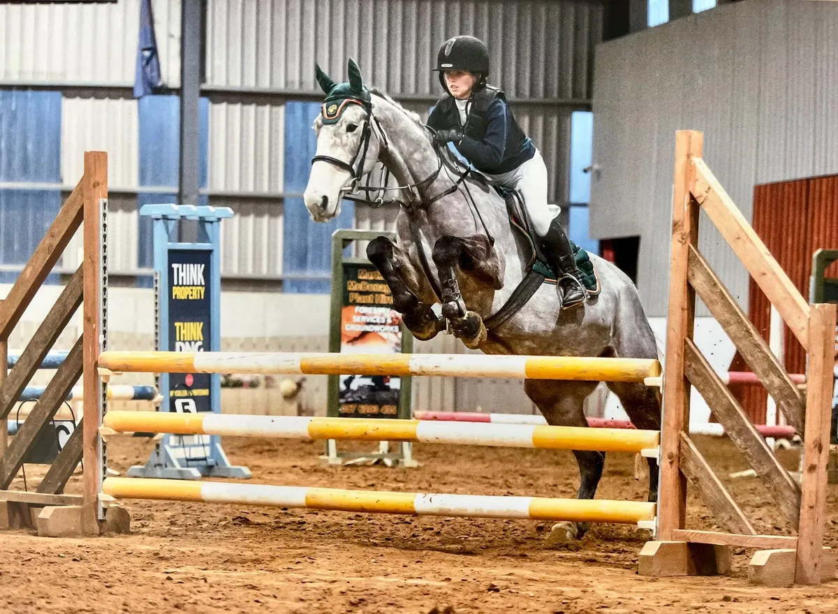9 year old ISH competition pony mare - Image 1