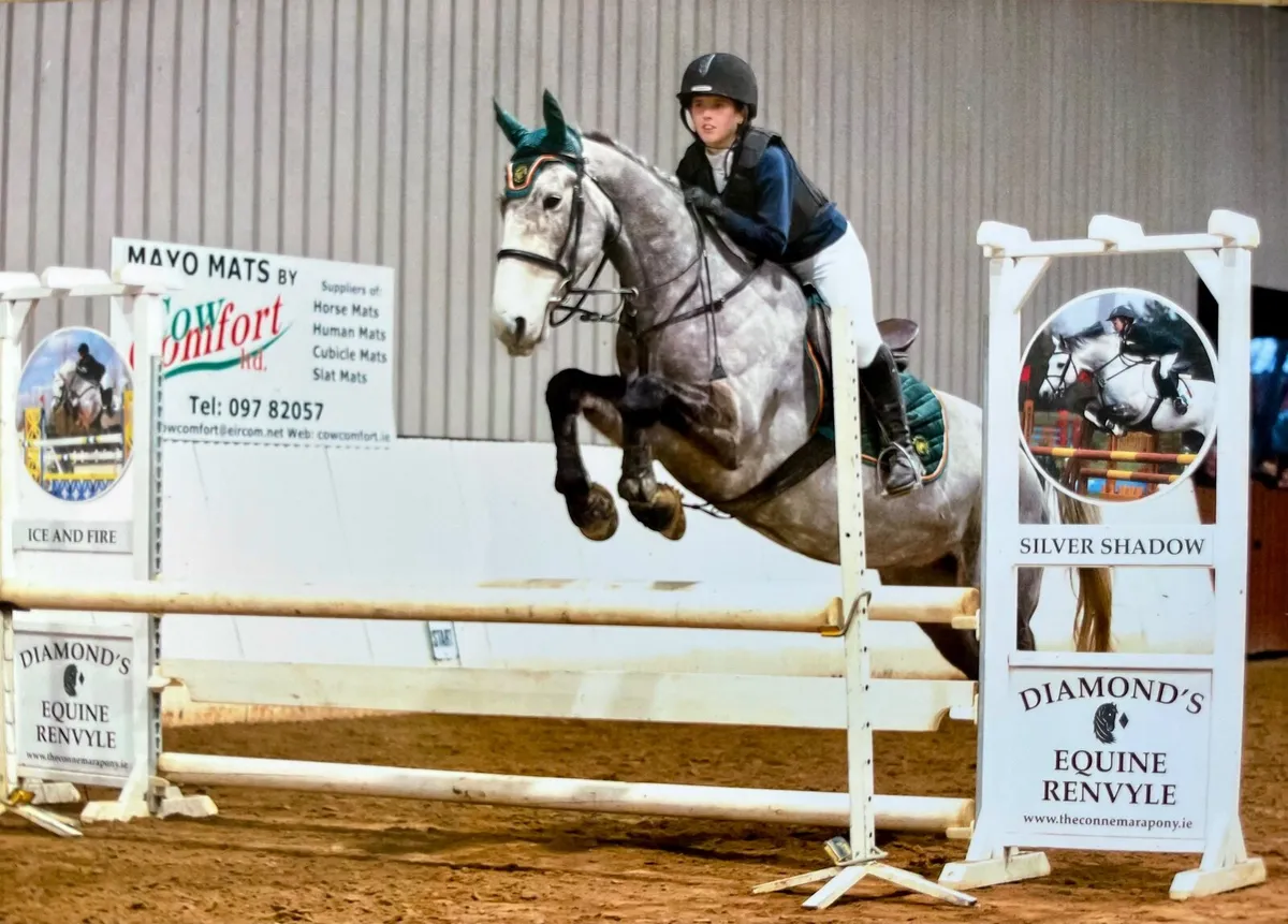 9 year old ISH competition pony mare - Image 3