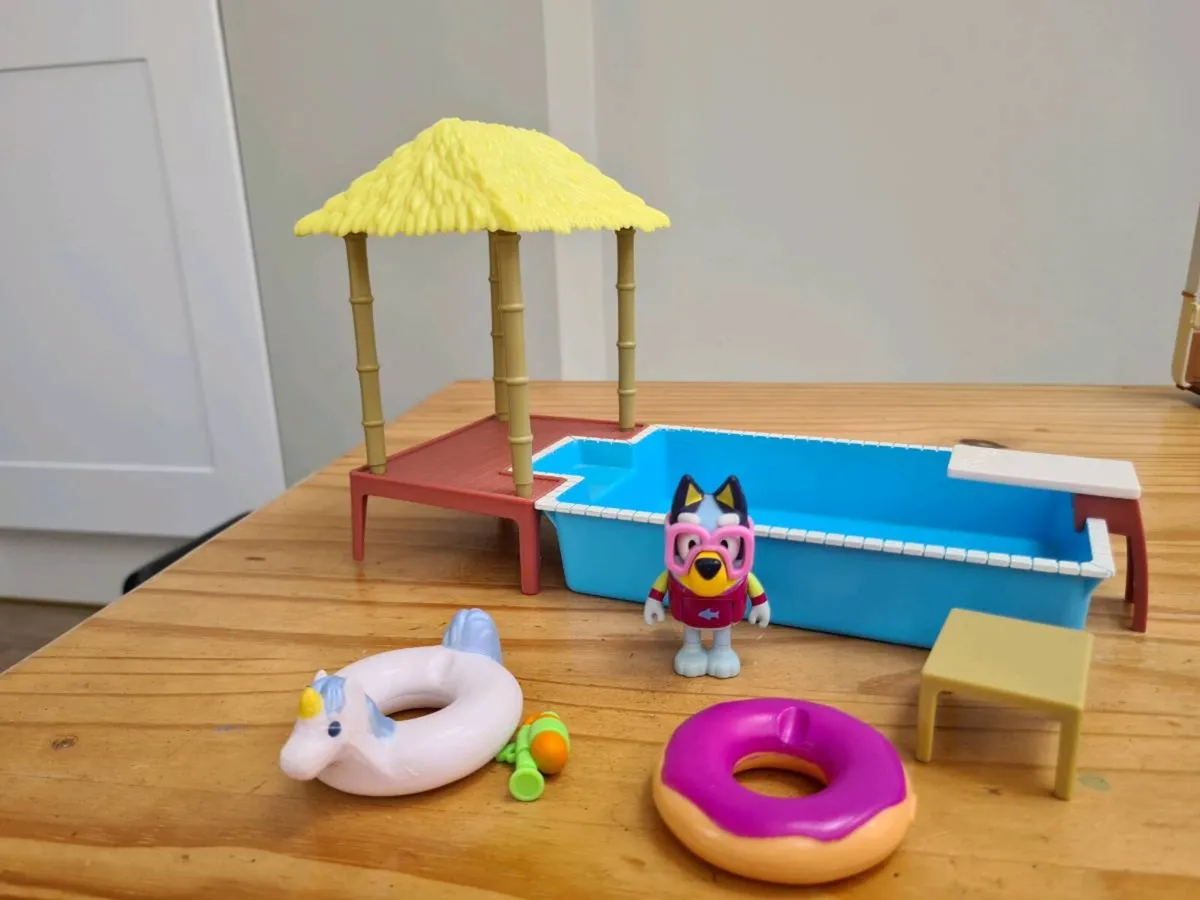 Bluey swimming pool - Image 1