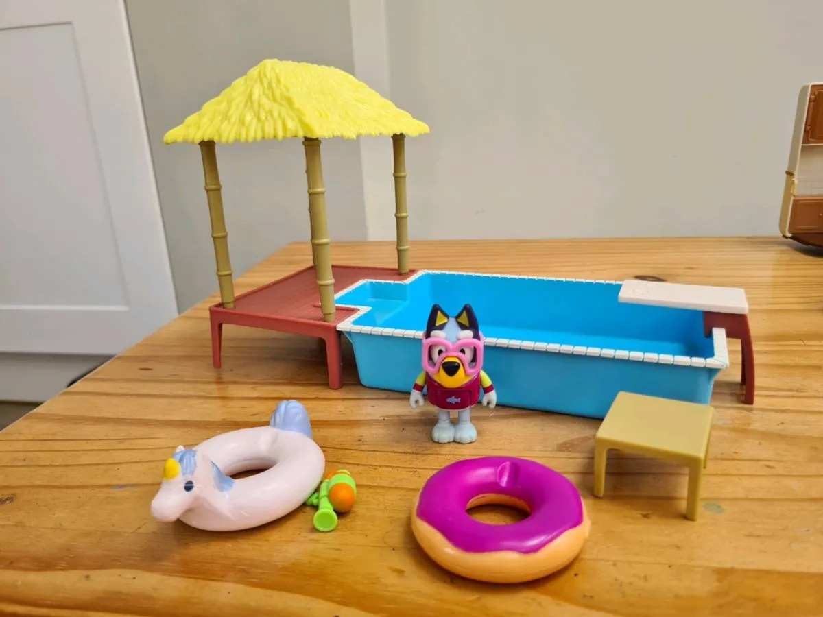 Bluey swimming pool - Image 2
