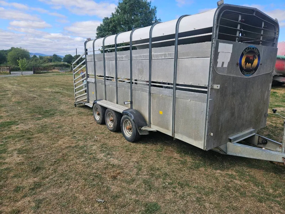 hudson 14ft cattle trailer - Image 2