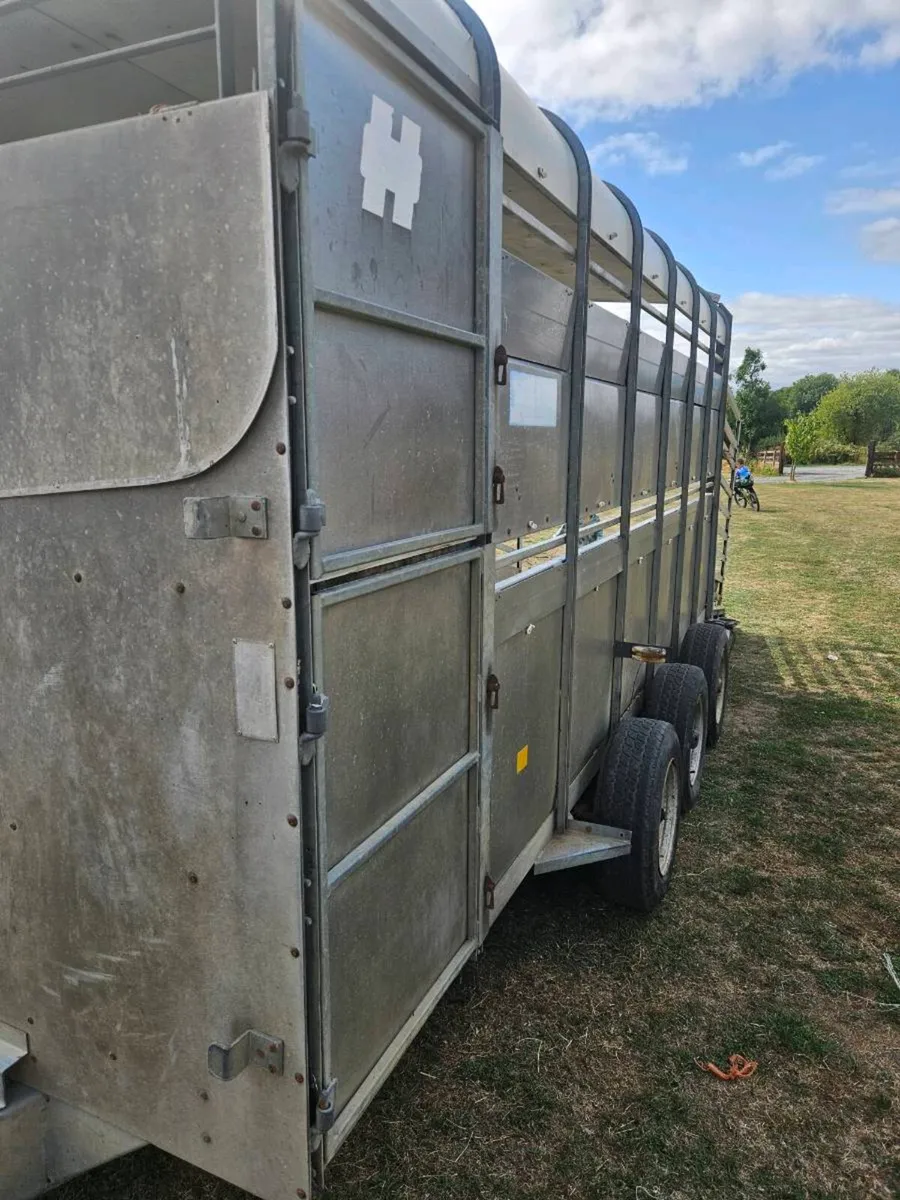 hudson 14ft cattle trailer - Image 3