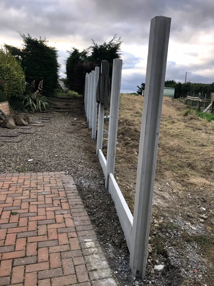 Concrete fence, posts panels. - Image 2