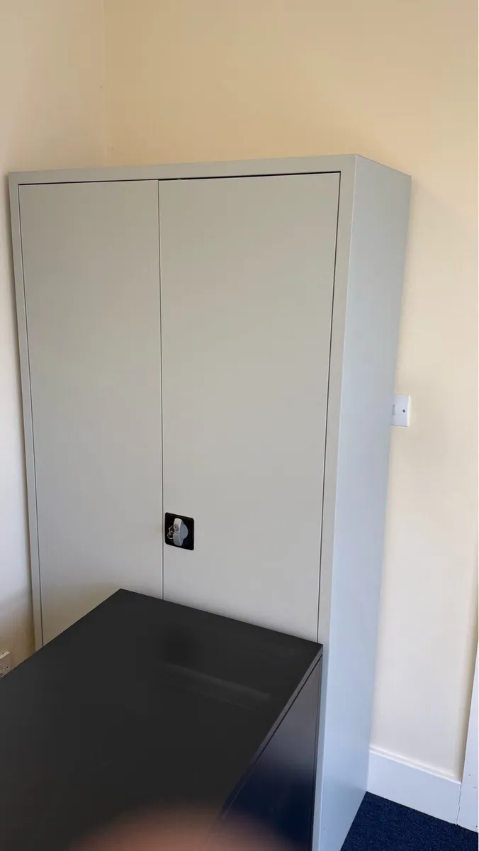 Free standing Metal Cabinets - Image 2