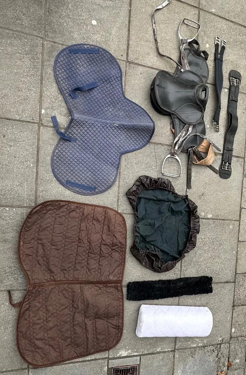 Tack room clearance - Image 1