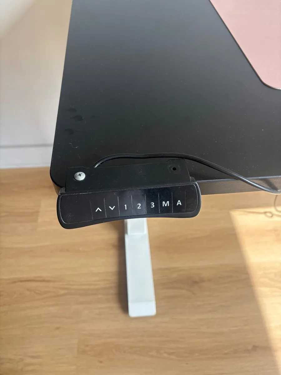 FlexiSpot Electric Standing Desk - Black and White - Image 2