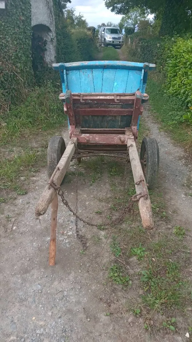 Asses car with tipper - Image 3