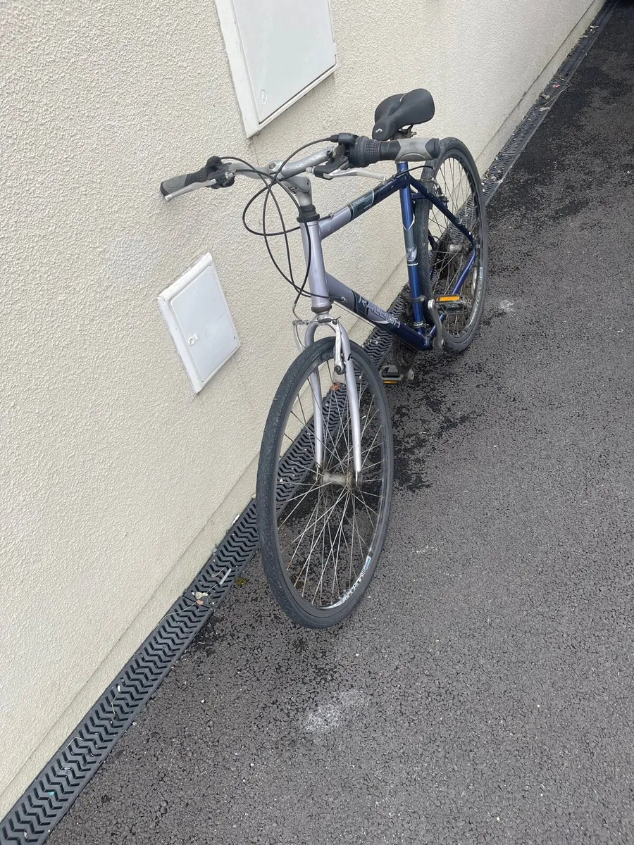 Adults Bike - Image 1