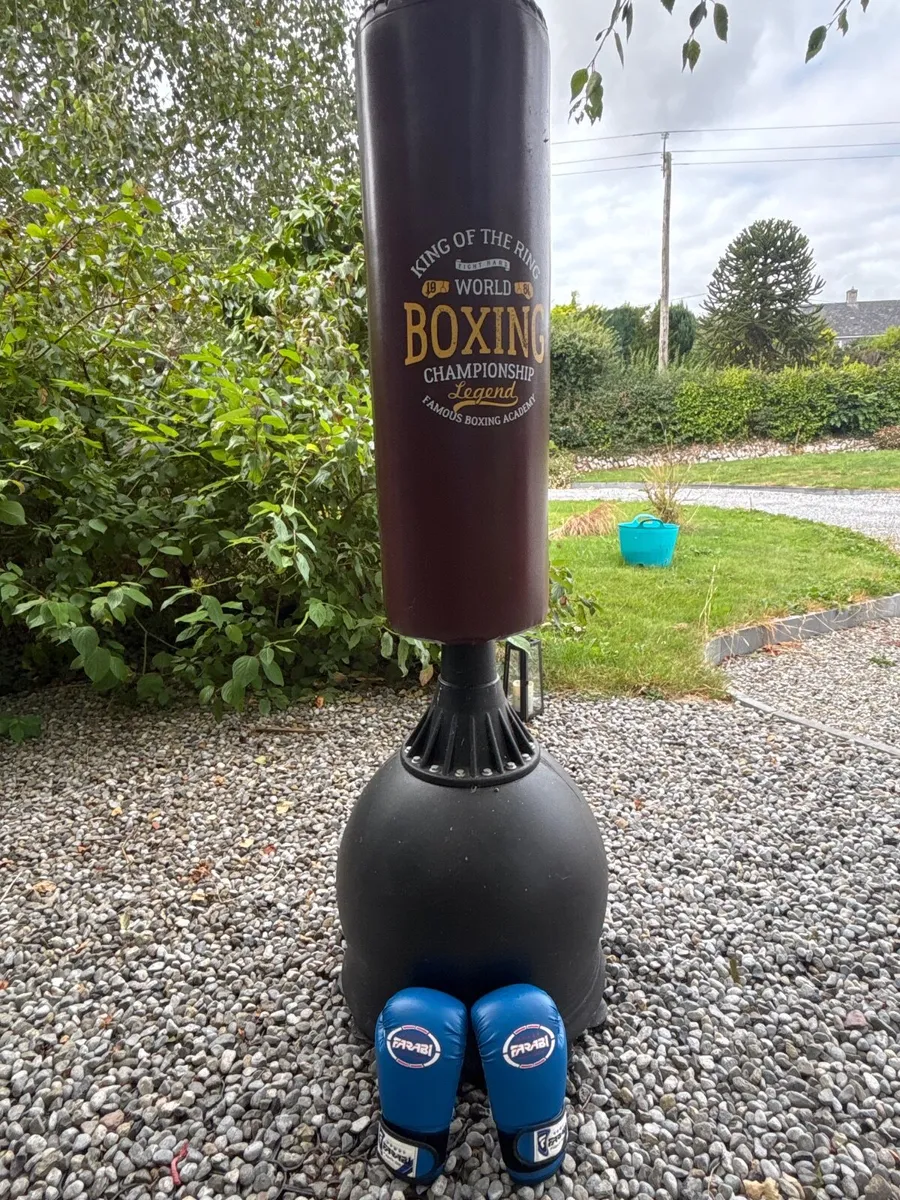 Boxing bag with gloves - Image 1