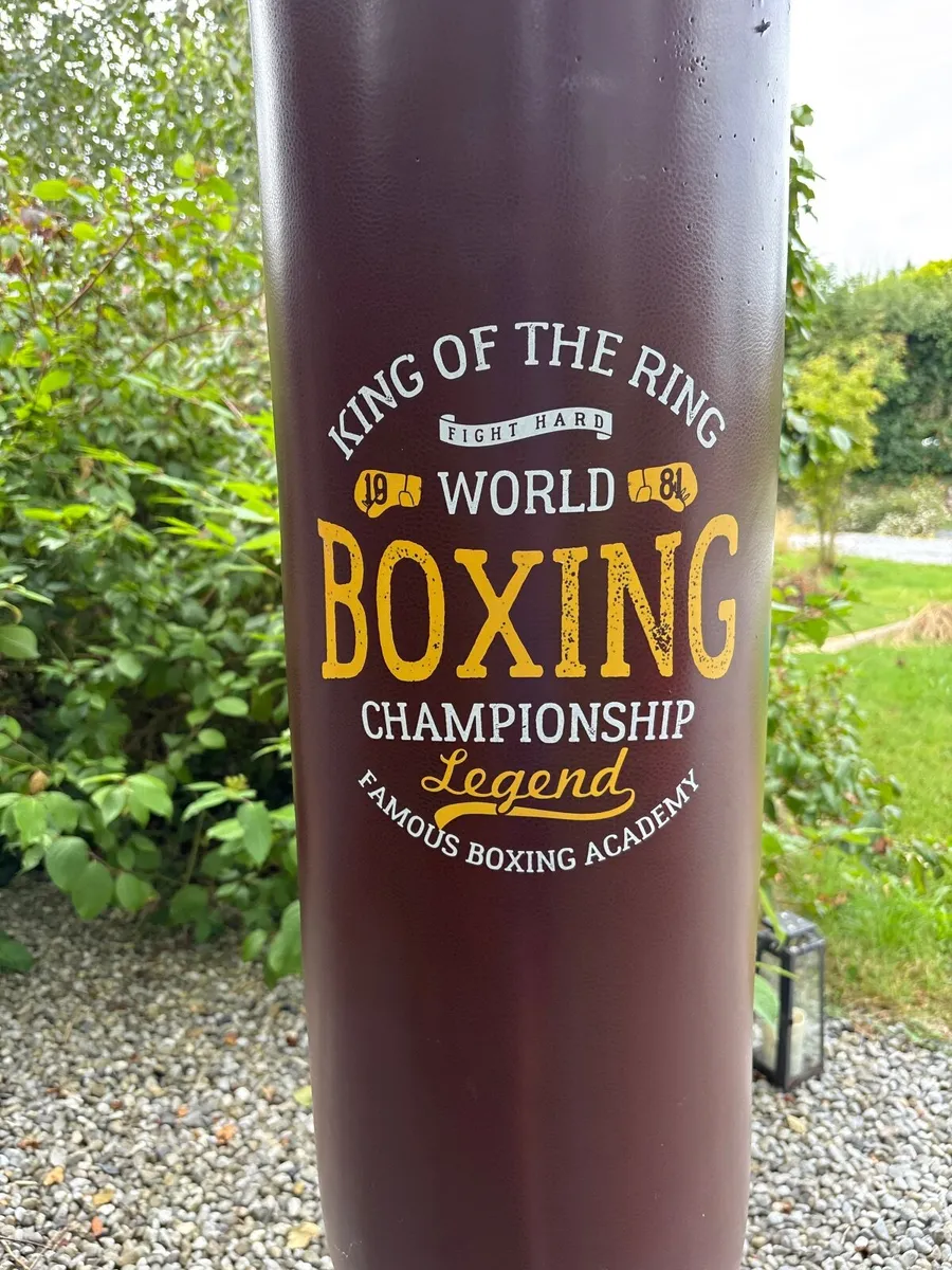 Boxing bag with gloves - Image 2