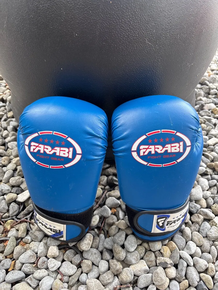 Boxing bag with gloves - Image 4