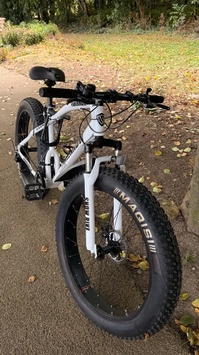 Mountain bike/ snow bike - Image 1
