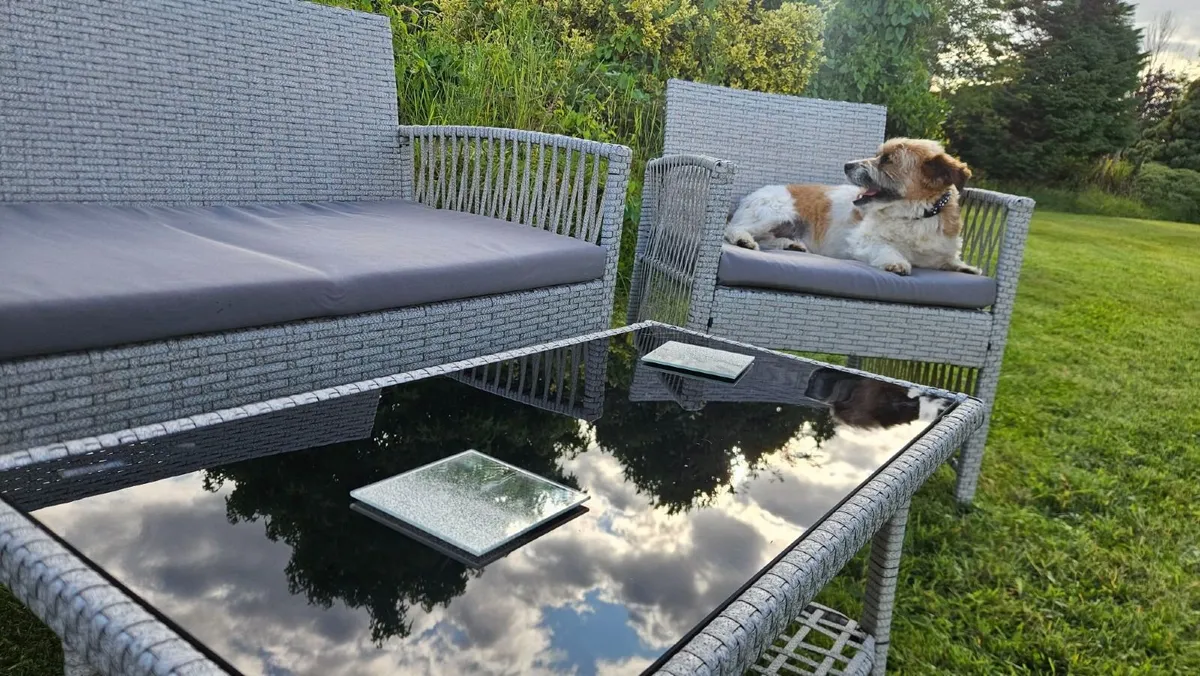 Garden  chairs clearance - Image 3