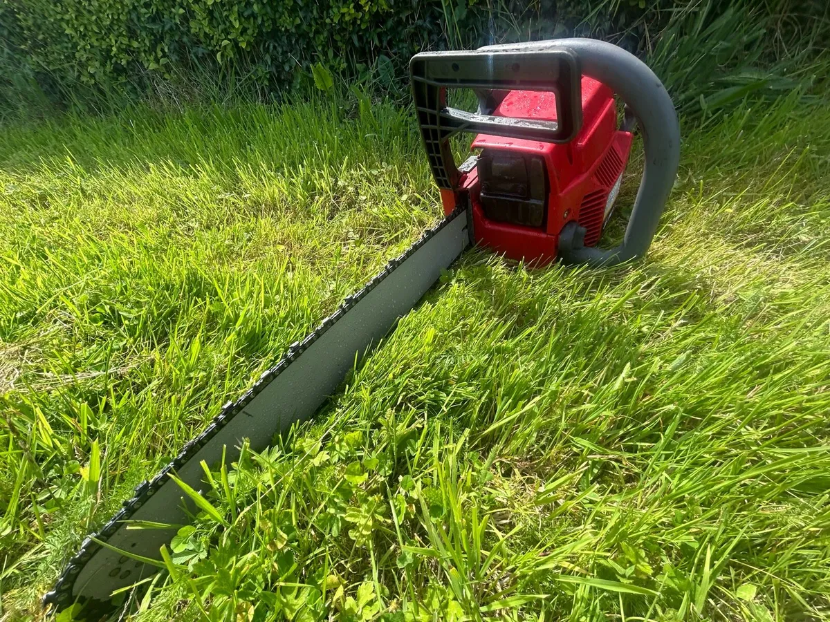 Chainsaw - Image 2