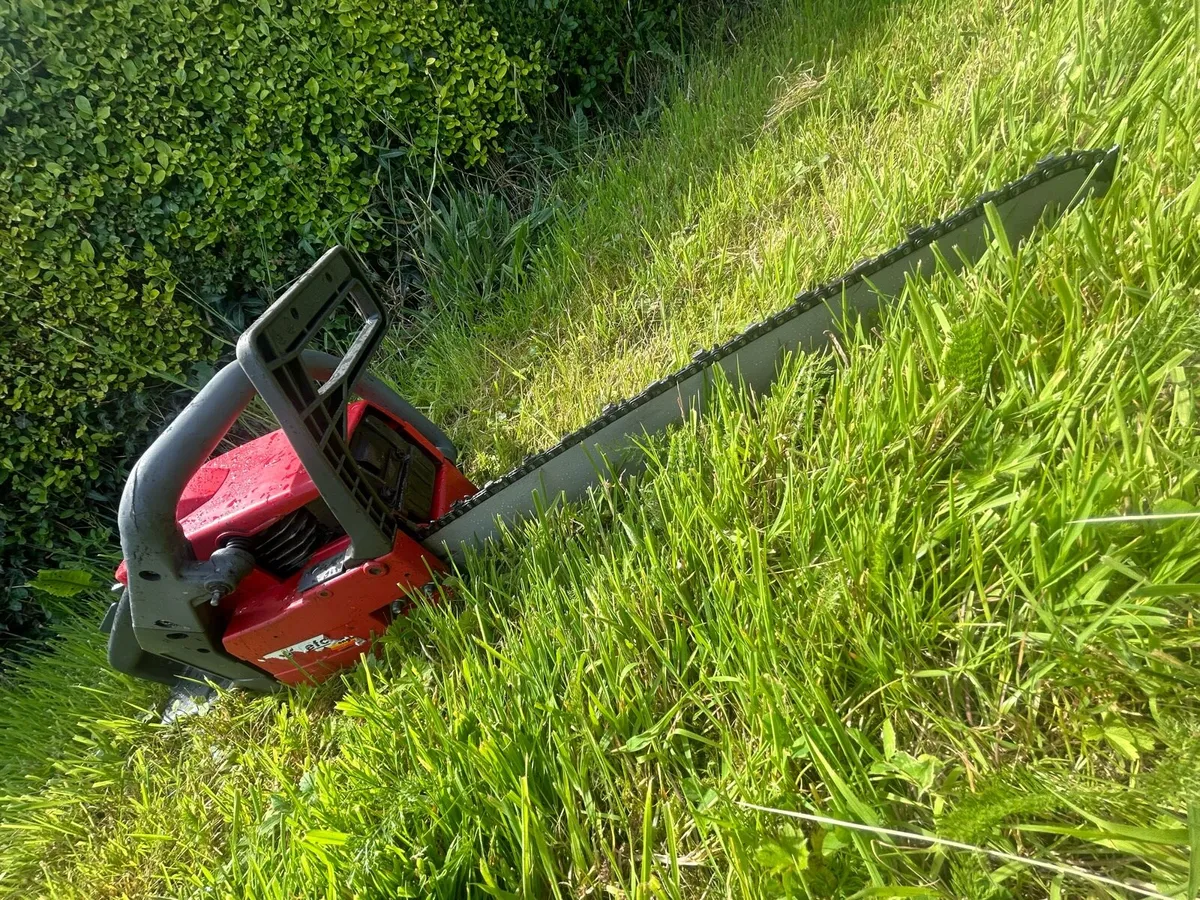 Chainsaw - Image 3