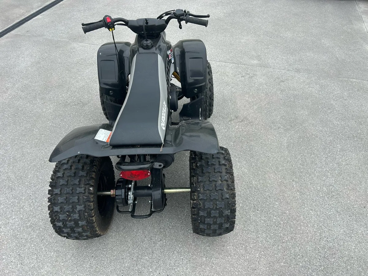 Quadzillla R100 - Image 3