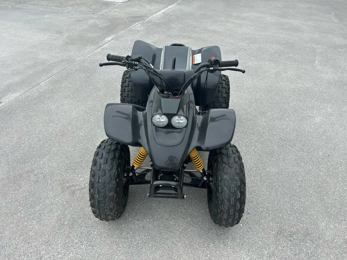 Quadzillla R100 - Image 2