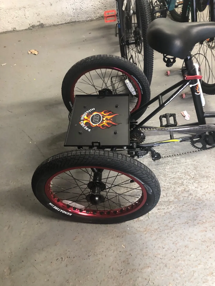 Trike - Image 1