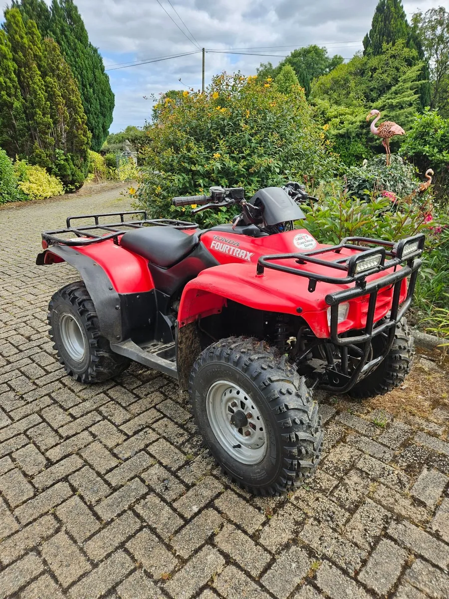 2004 Honda Fourtrax Quad 250 - Image 1