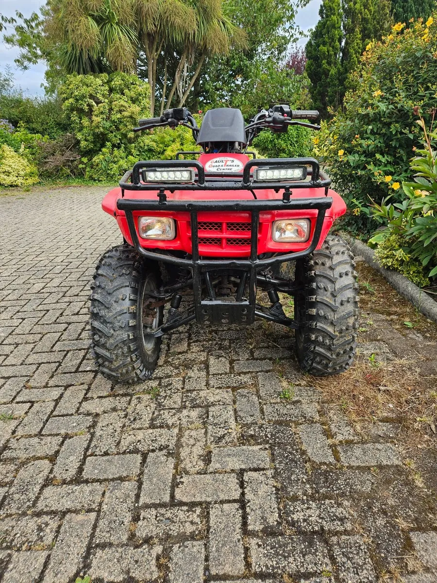 2004 Honda Fourtrax Quad 250 - Image 4