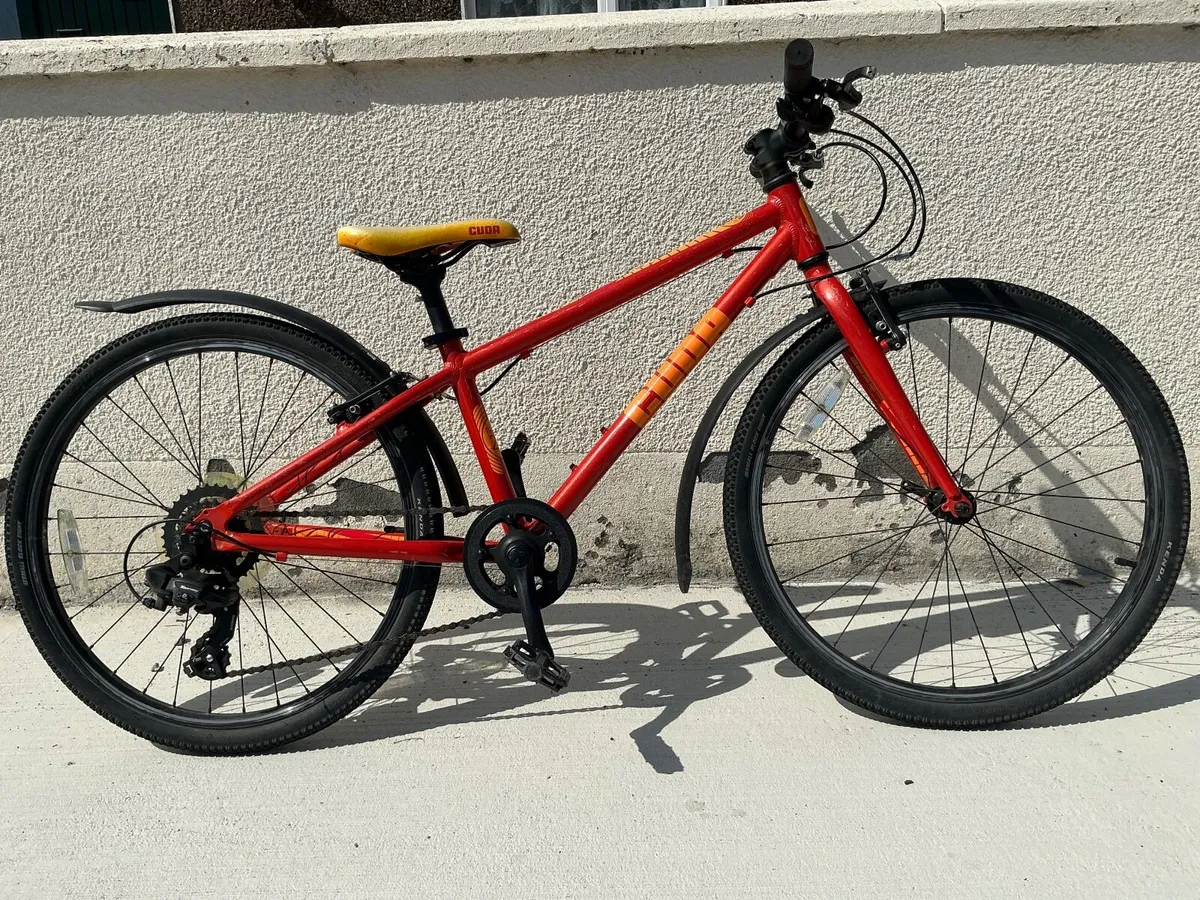 Girls bicycle - Image 4