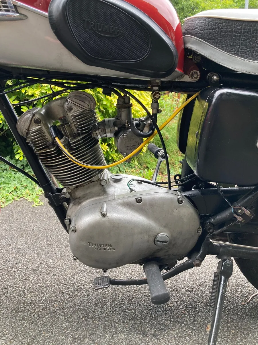 Triumph Tiger Cub 1963 - Image 4