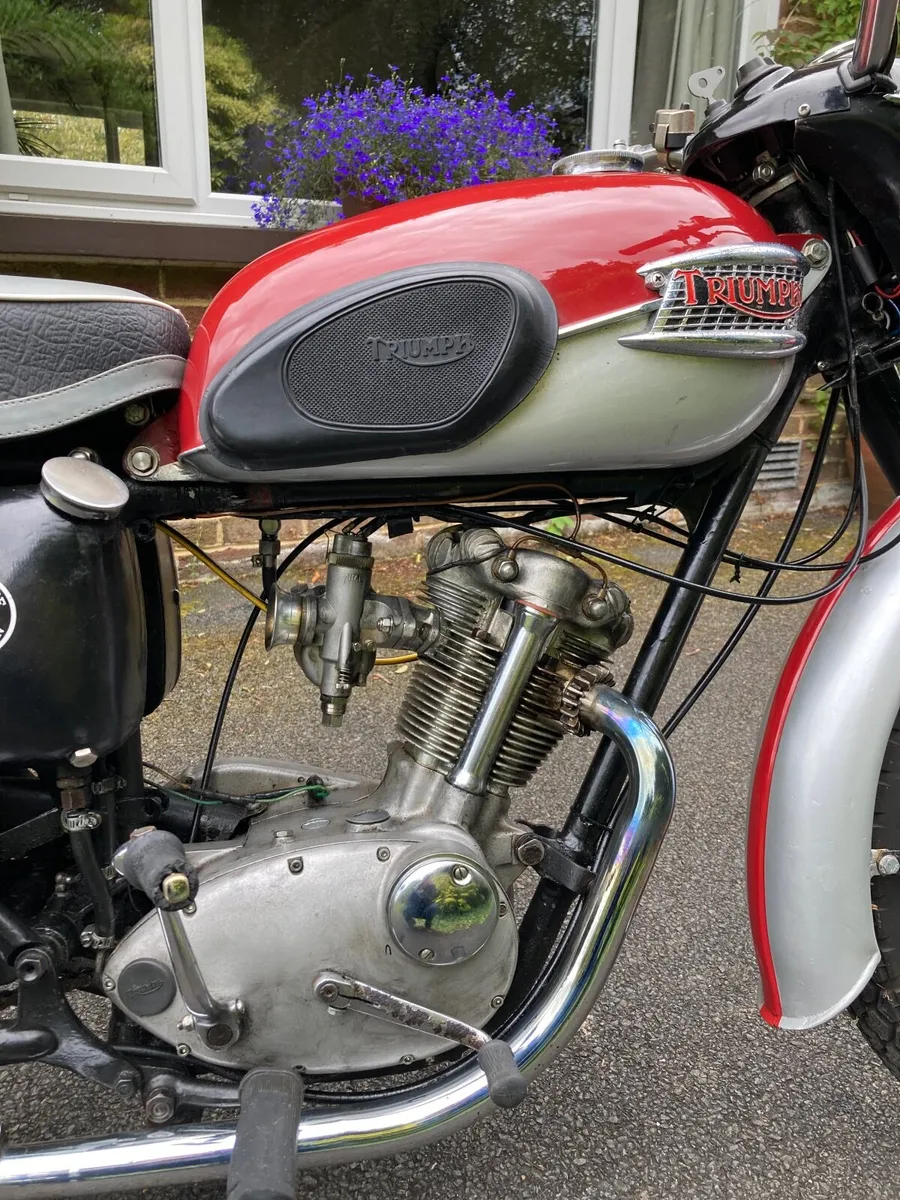 Triumph Tiger Cub 1963 - Image 3