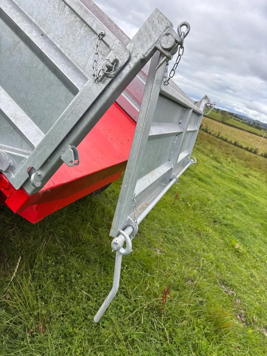 Tipping trailer - Image 4