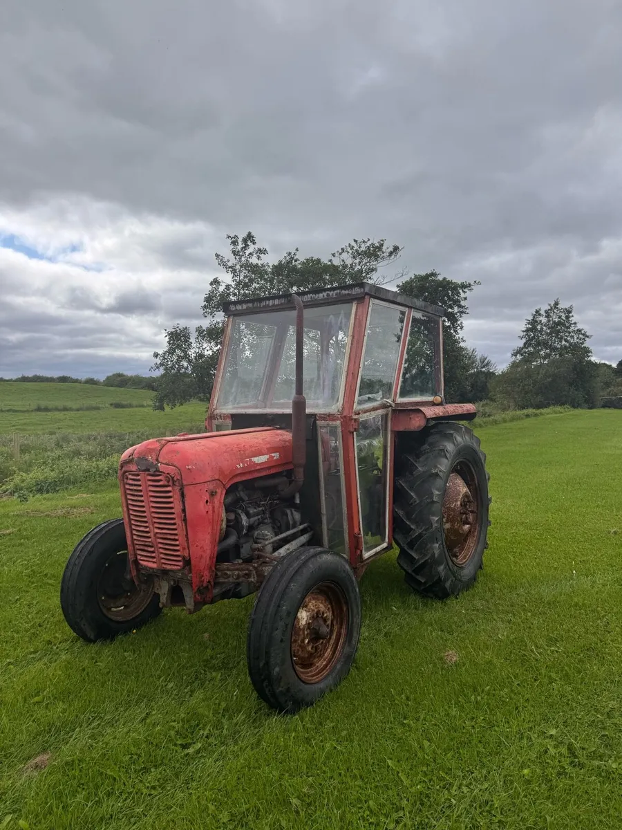 Massey Ferguson 35 3 Cylinder - Image 1