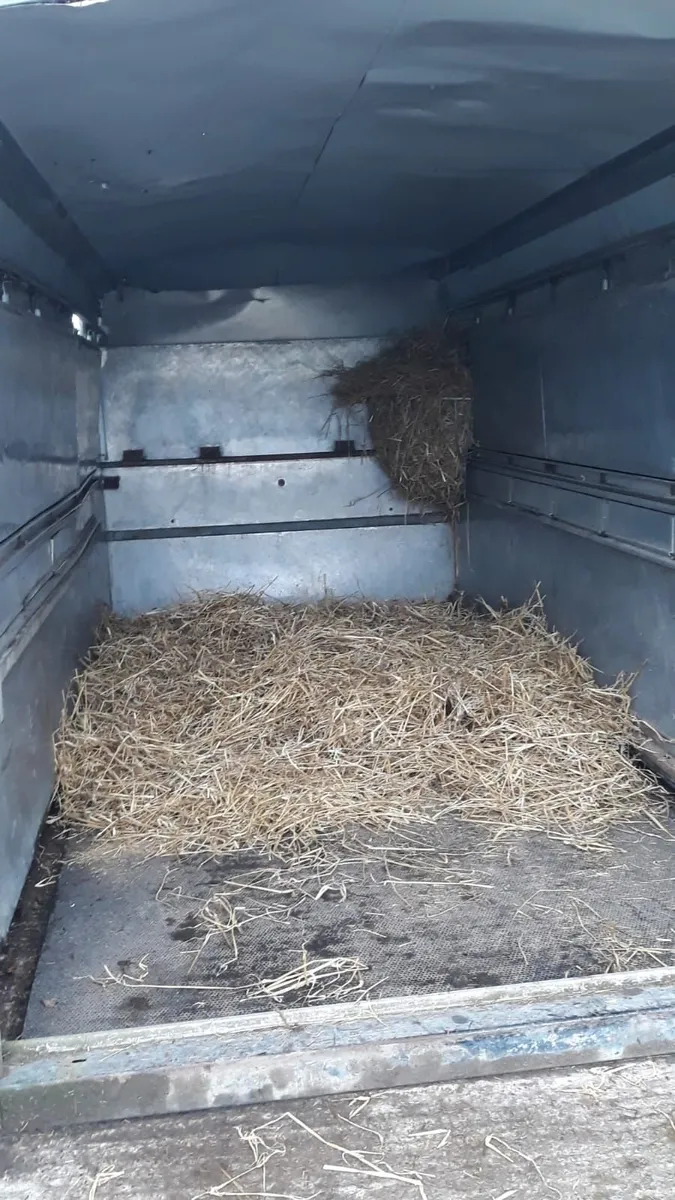 Ifor Williams Cattle body 14ft - Image 4