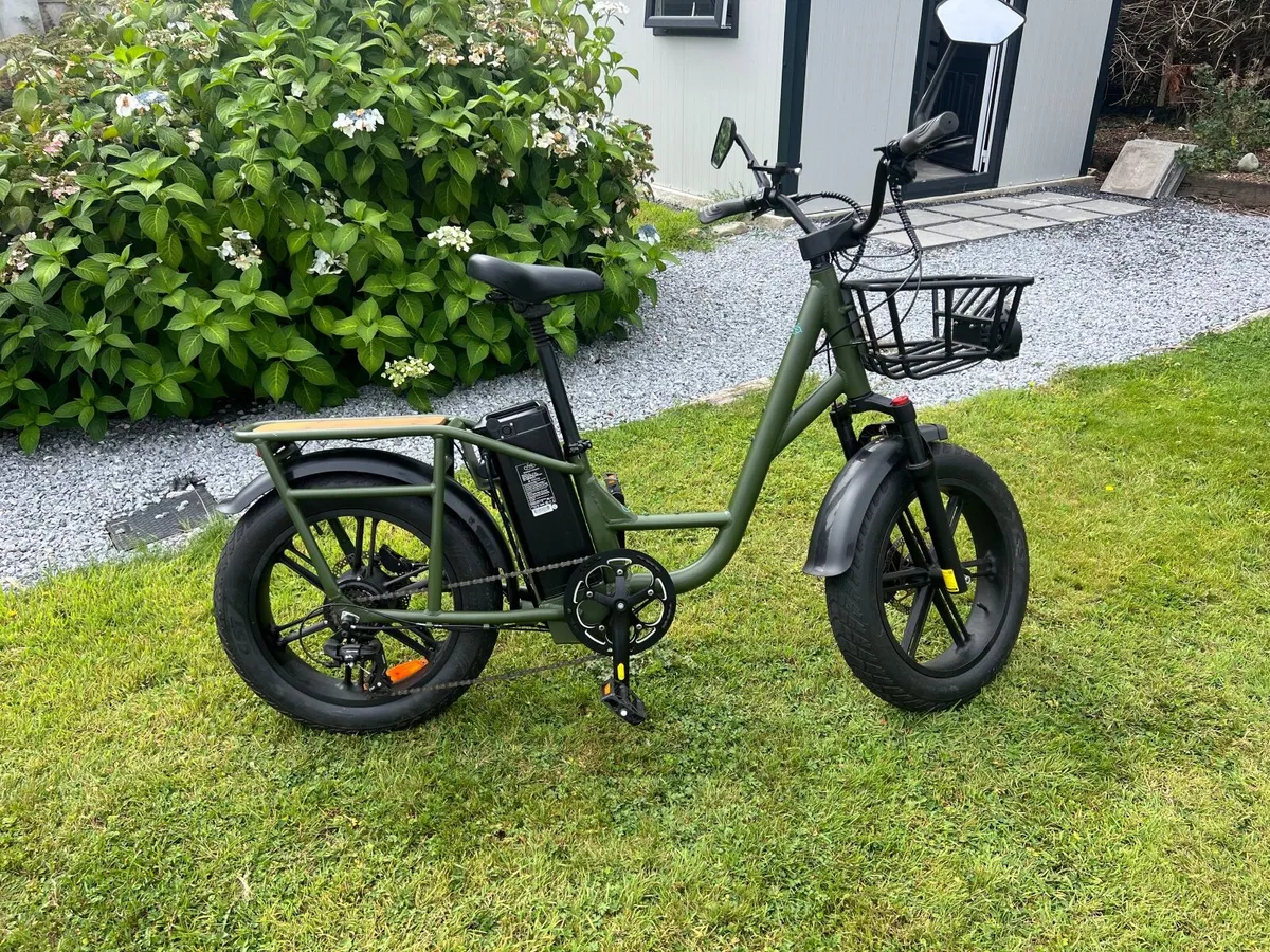 Fiido T1 Pro Utility Electric Bicycle - Image 1