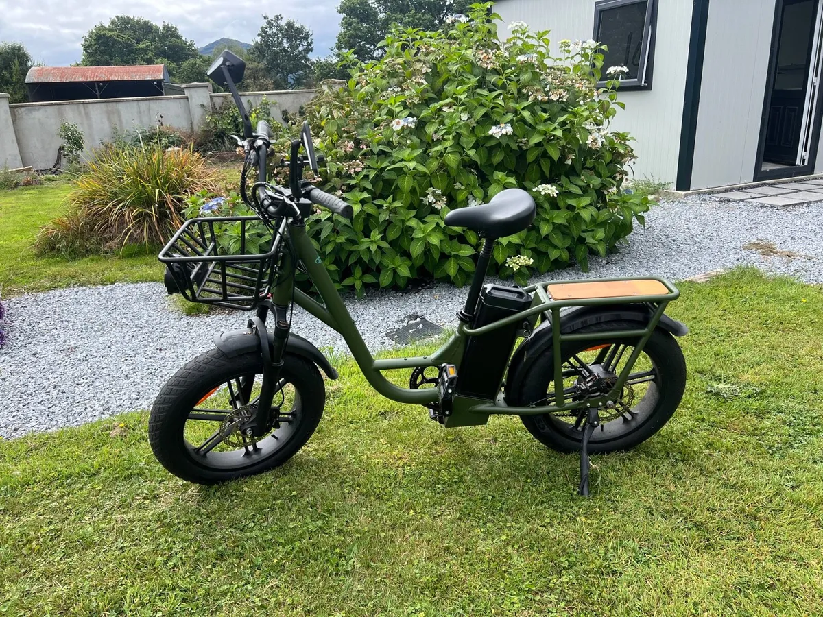Fiido T1 Pro Utility Electric Bicycle - Image 2