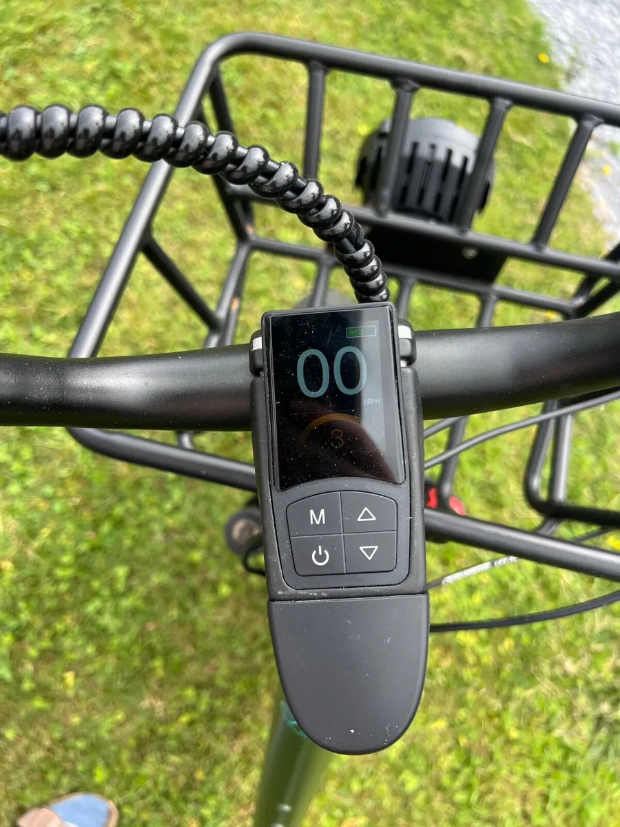 Fiido T1 Pro Utility Electric Bicycle - Image 3
