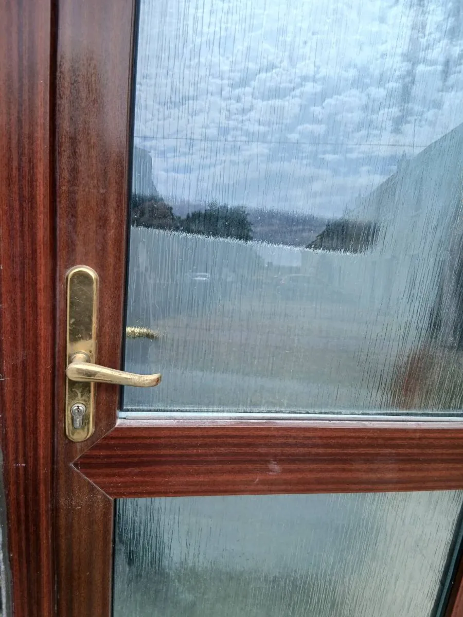 Pvc door - Image 1