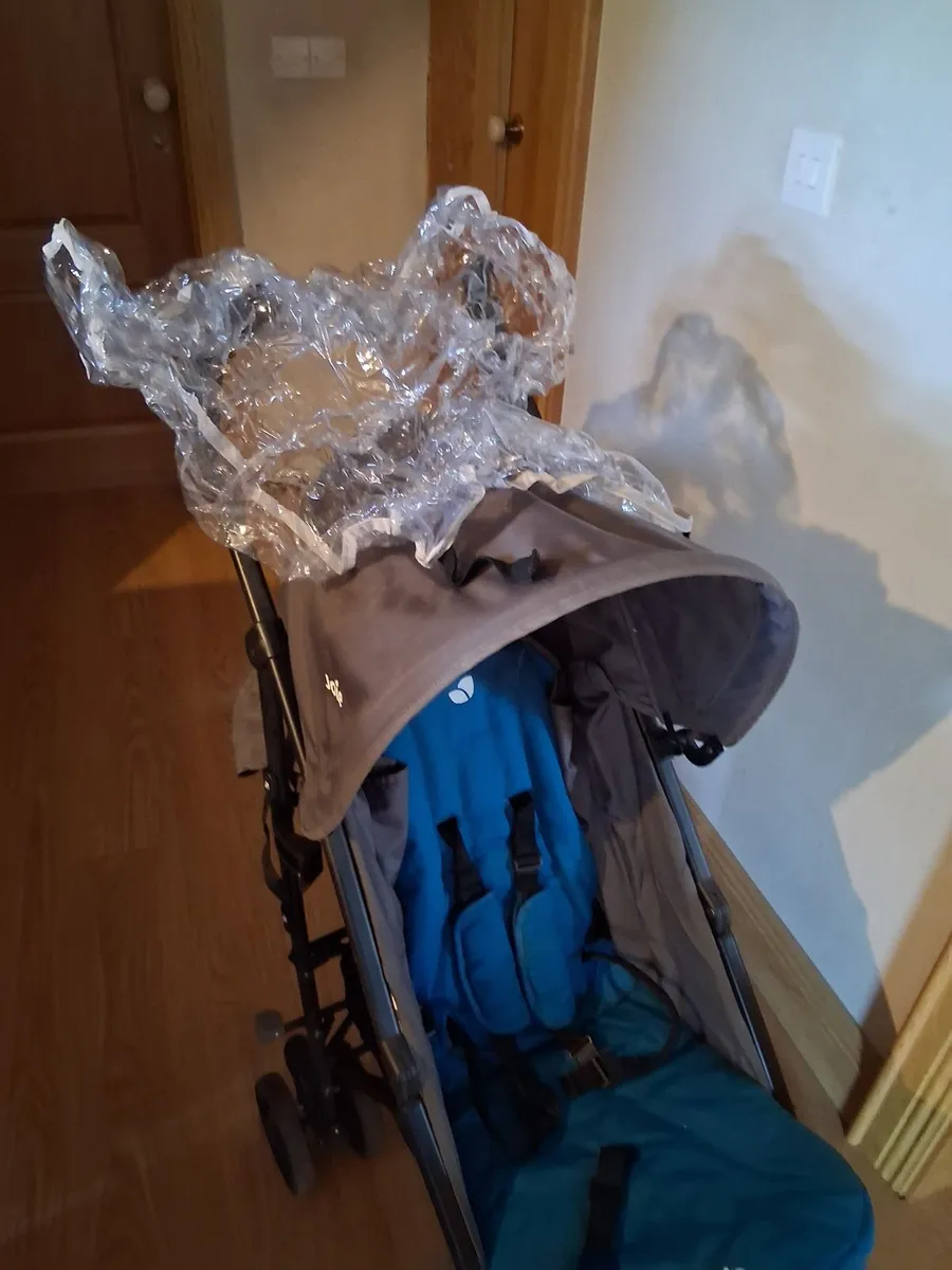 Buggy - Image 3