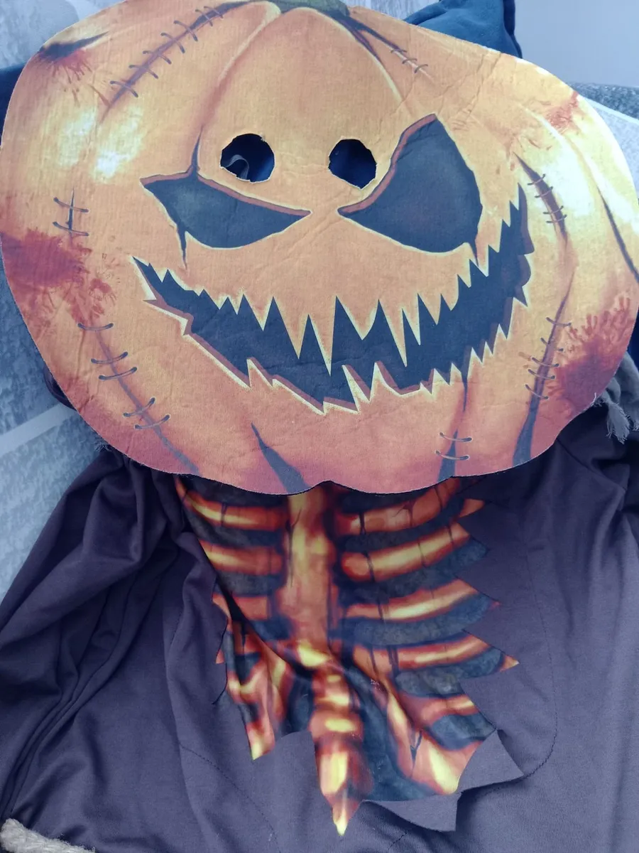 Pumpkin costume - Image 1