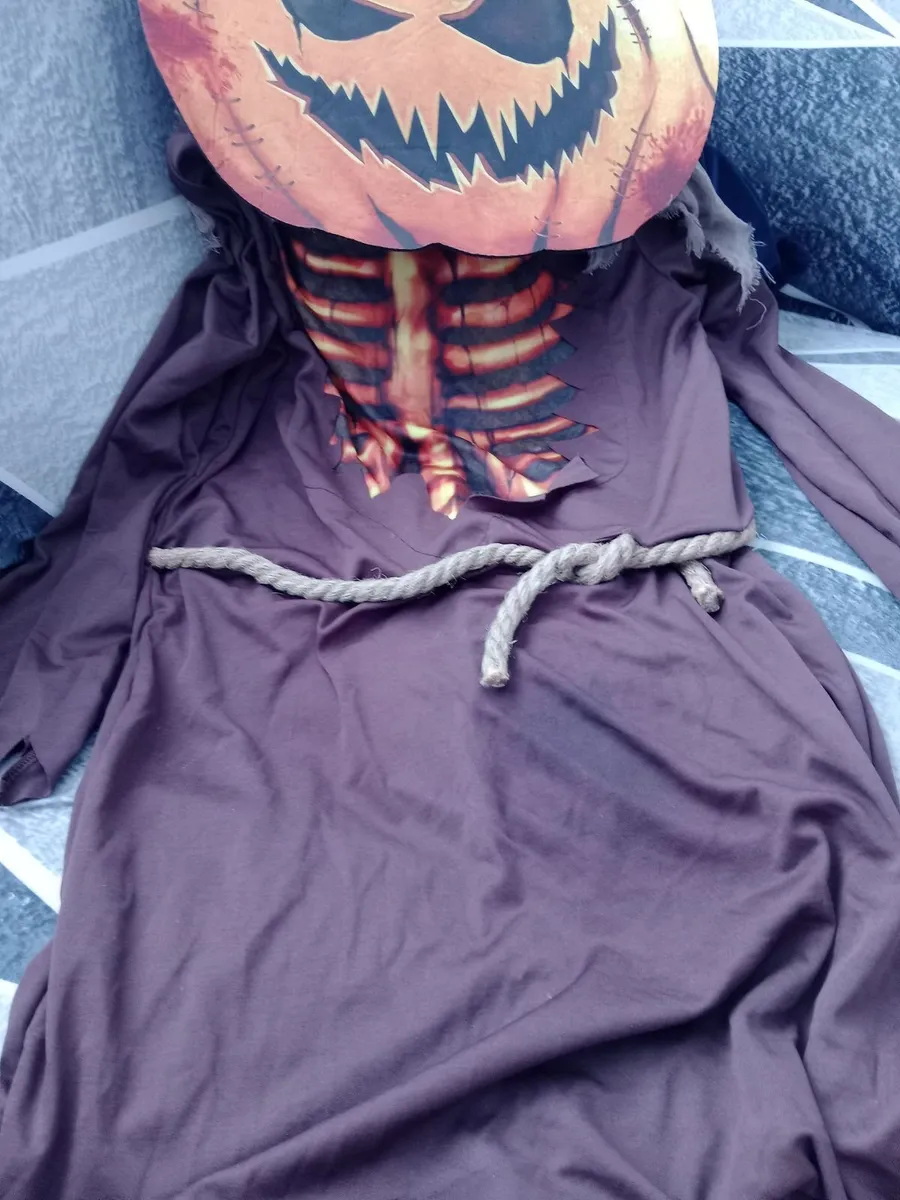 Pumpkin costume - Image 2
